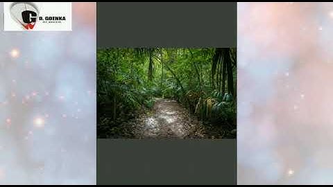 Grade 1 Urdu Dated 30 08 2021