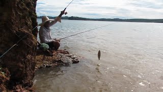 O COMPANHEIRO DO LADO SEMPRE TORCE PRO PEIXE