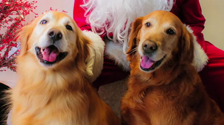 As Good as Gold 15th Anniversary