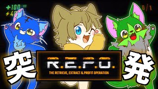 【勢いでぬめゲコらいふと二次会コラボ！！】日月(陽)のホラーコラボ配信【#repo   part9】
