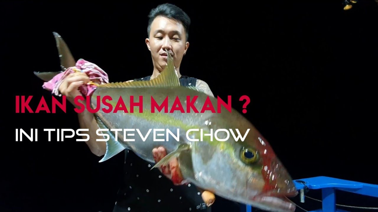 Ikan susah makan ?? Ini tips steven chow
