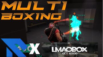 TF2 Multi-Boxing Shenanigans and More With RijiN and LBox