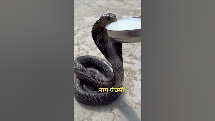 नाग पंचमी को नाग देवता का दर्शन कर सब प्रकार के भय से मुक्ति मिल जाती है #shorts #trending #love 🙏🙏🙏
