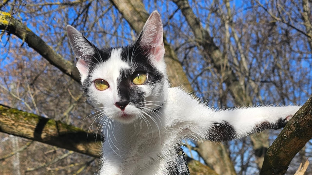 Tosia i Sisi, 26.02.2026