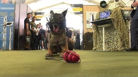 Fair showcases cutting-edge tech for the military