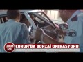 Download ÇORUM'DA BONZAİ OPERASYONU ÇORUM'DA BONZAİ OPERASYONU