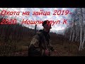 Охота на зайца 2019-2020 Нашли труп К....