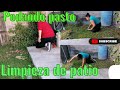 Limpiando el patio de enfrente de la casa #podandopasto#jardínpodado#