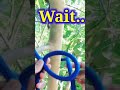#ropeknots #knotskill #trendingvideos #rope #diy #knots #shorts