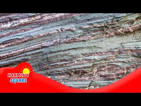 Video: Čo je nesúlad v geológii?