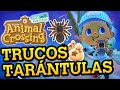 10 TRUCOS Y CONSEJOS PARA CAZAR TARÁNTULAS EN ANIMAL CROSSING NEW HORIZONS