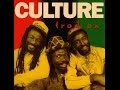 culture trod on full album