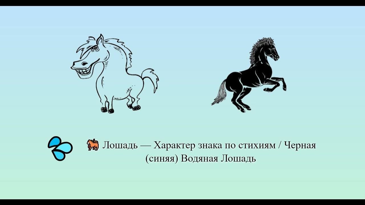 лошади. каслайд лошадь. какой характер у лошади. лошадь с отметинами и приметами. характер коня.
