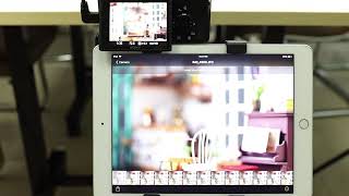 Camfi Pro Sony A7 Iii - 80 Steps Focus Stacking Test