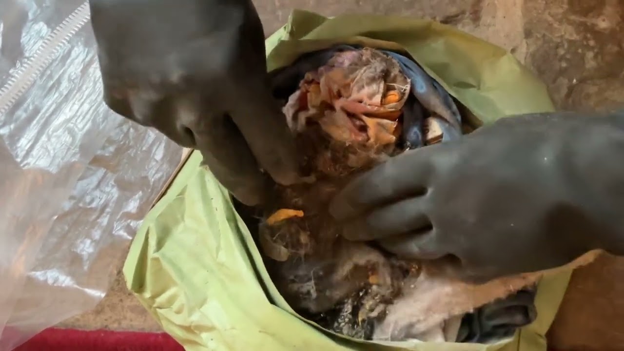 ~****#Opening # the #vacuum #cleaner  bag to see the contents