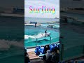 ラビーちゃんとサーフィンサイコ～🥰 #Shorts #鴨川シーワールド #鴨シー #kamogawaseaworld #killerwhale #orca #シャチ #surfing