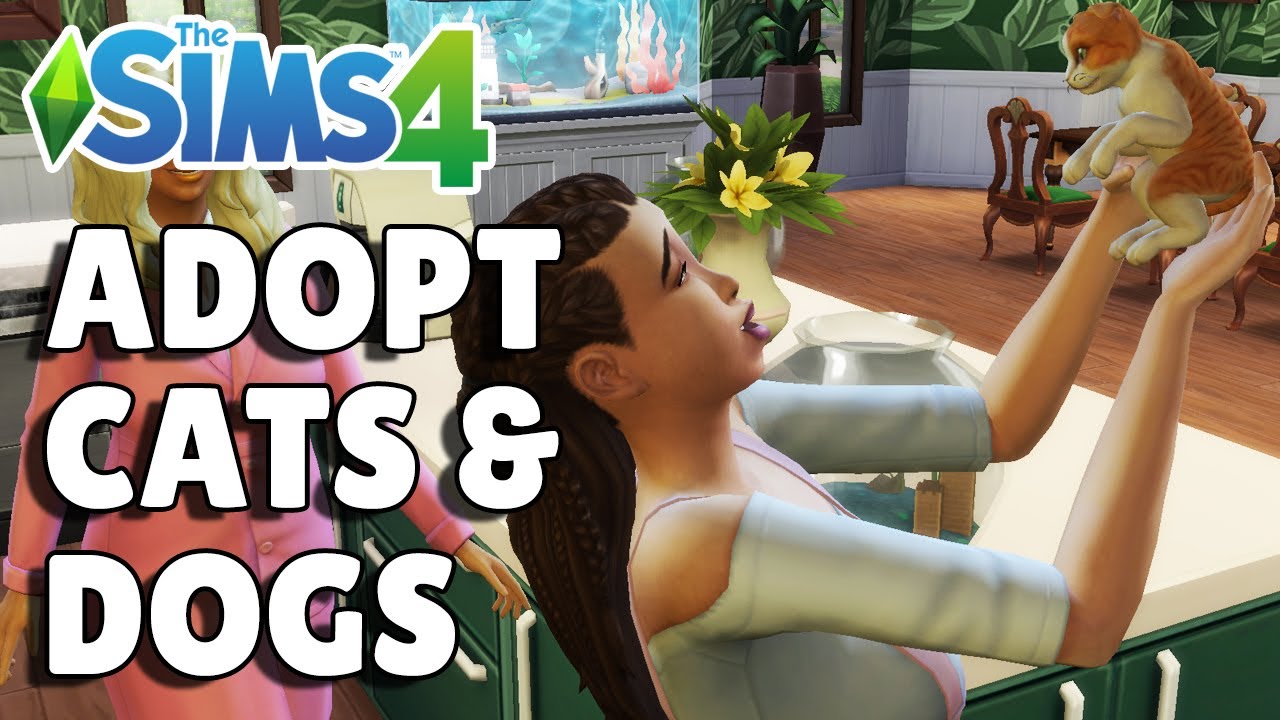 How To Adopt A Pet The Sims 4 Cats And Dogs Guide Youtube