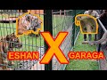 ESHAN X GARAGA ! Feat Panji Petualang, Irfan Hakim, Ezron, Dream Team (Part 2/2)