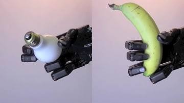 Dexterity - Shadow Dextrous Hand