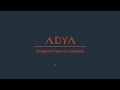 Introduction to adya