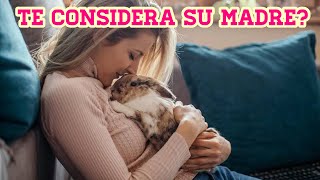 Tu conejo te considera parte de su familia? by Vida de un conejo 6,003 views 3 months ago 6 minutes, 53 seconds