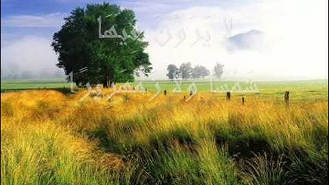 ۞الشحات أنور من سورة الإنسان (نهاوند)۞