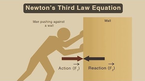 Newton