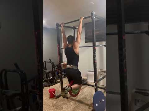 +60kg/132lb Weighted Pullup @ 86kg/189lb BW ?