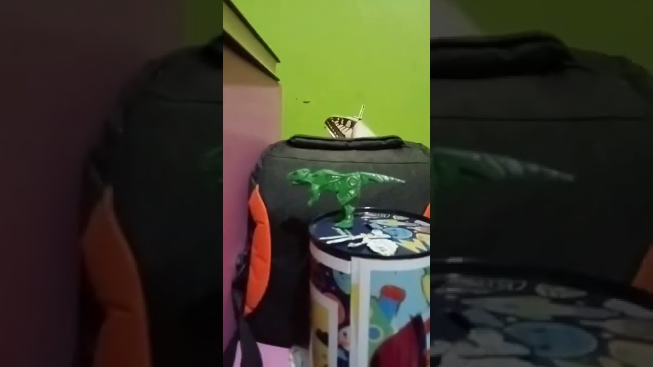 T Rex Itu Apa T Rex Itu Apa