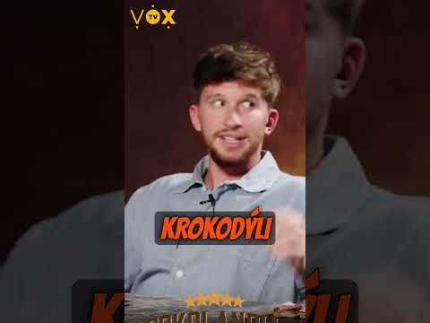 Lišák v Mr.