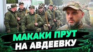 Ситуация СЛОЖНАЯ! МАКАКИ БЕГУТ на Авдеевку. ВСУ стоит! — Виталий Барабаш