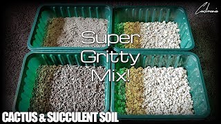 Cactus & Succulent Soil Mix - What I use for my Plants