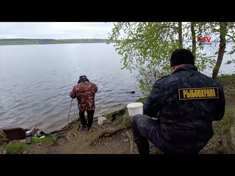 В Воронежской области ввели ограничения на рыбную ловлю в связи с началом сезона нереста