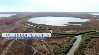 картинка: Осенняя Рыбалка на Нуре | Тишина, красота и хищник у Садырбая