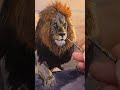 Painting Lions whiskers