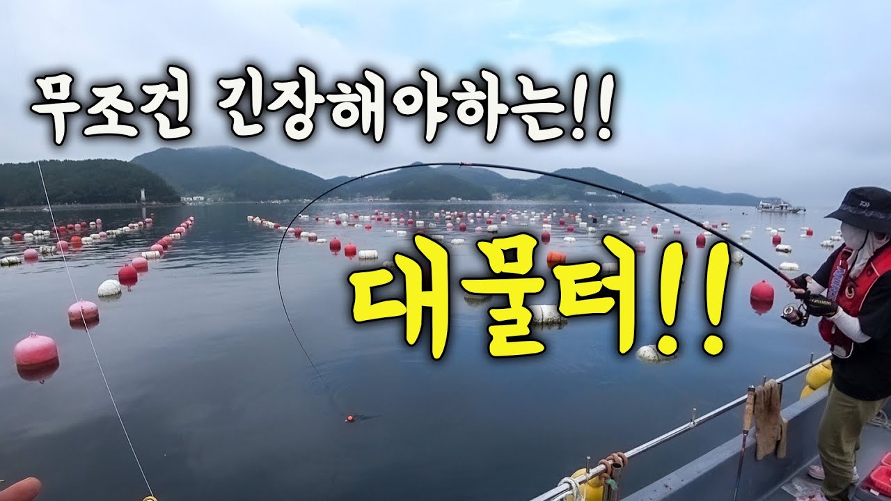 [다리tv] 지금 핫한 감성돔 대물터!!! 이 미끼는 반드시 챙기세요!!!