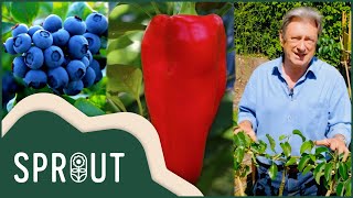 Transform Your Garden Beds with Alan Titchmarsh |Sprout