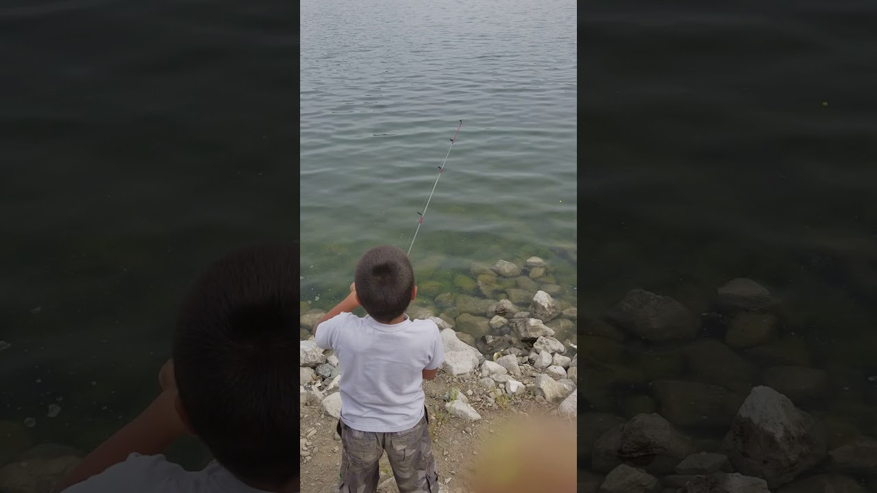 Max catching his second trout ever at sparks marina 9/16/17
