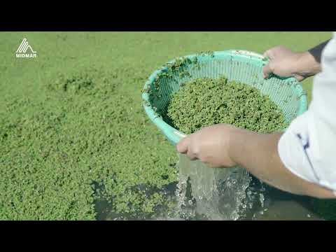 مزرعة بشائر الخير    