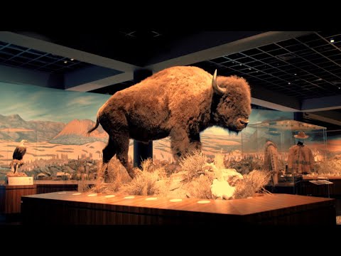 Blackhawk Museum Presents "The Spirit of the Old West"