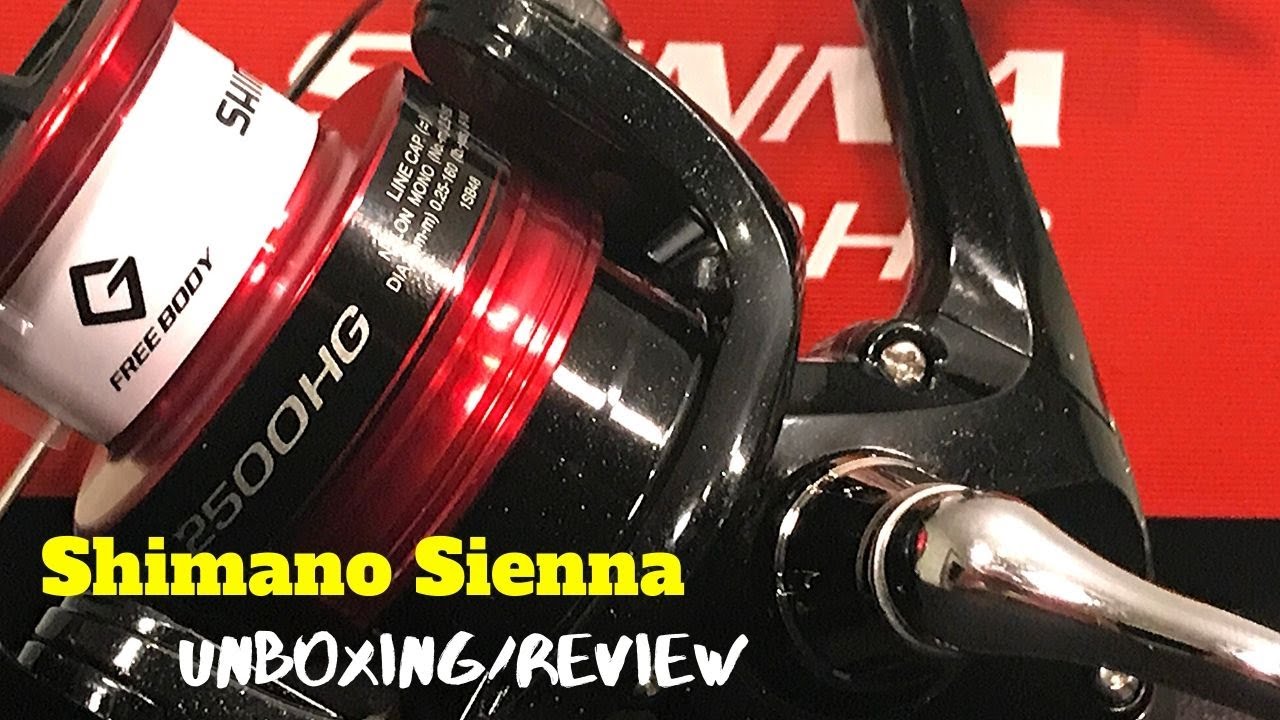 Shimano Sienna FG 