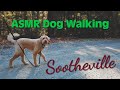 ASMR Dog Walking - Fall walk on a winding, gravel road 4K (No Music)