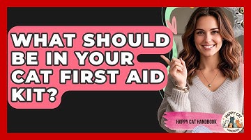 What Should Be In Your Cat First Aid Kit? - Happy Cat Handbook