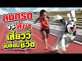 น้องชานเทลล์ นักวิ่งลมกรด VS สี่ขา เสี้ยววิเปลี่ยนชีวิต | SUPER10