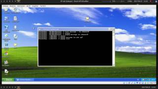 Famous viBot - IRC Based Modular Botnet Net Worth