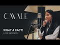 Cavale  what a fact  live session  entit studio