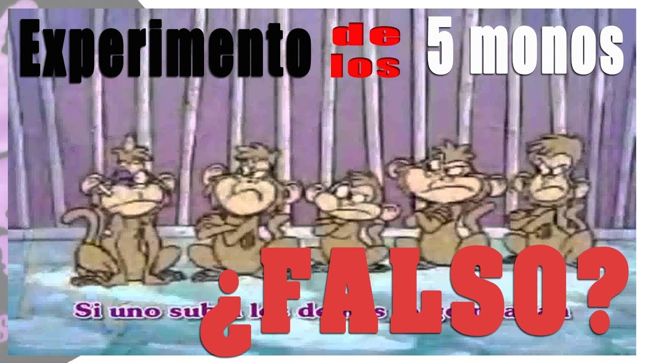 EL (¿FALSO?) EXPERIMENTO DE LOS 5 MONOS | por Psicovlog psicología inversa como es