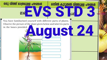 class 3 EVS worksheet August 24