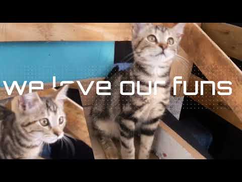 Hhhhhhhh Maxaa Ka Aamin Santahay Adiga Bisada