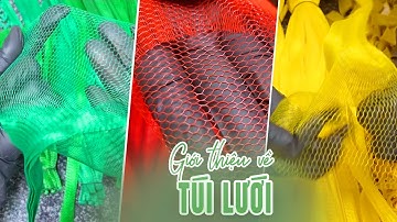 Túi lưới nhựa đa năng đựng nông sản, trái cây. Tuiluoithanhha.com